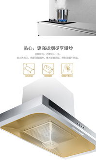 帅康CXW-200-TE6719欧式吸油烟机 大吸力与免拆洗的厨房革命